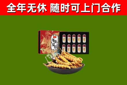 玛曲县回收冬虫夏草价格